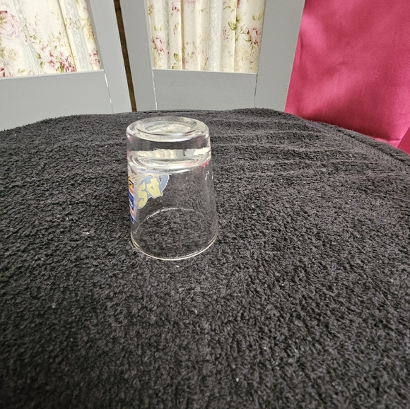 2003 Hendrick Motorsports Jeff Gordon #24 NASCAR Glass Shot Glass - Picture 7 of 9